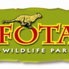 Fota wildlife Oriel House Hotel